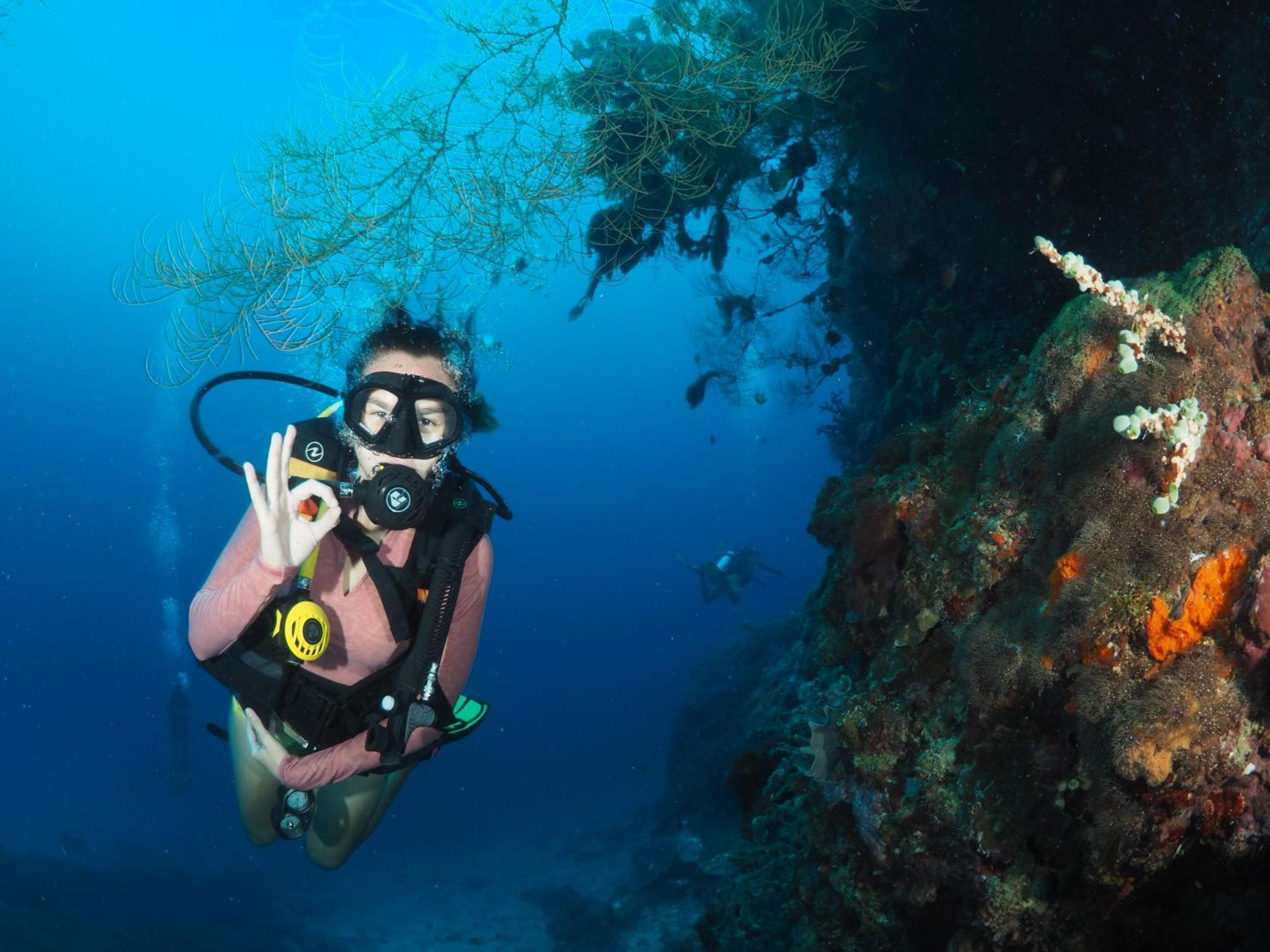 Liberty'S Lodge And Diving - Apo Island 杜马格特 外观 照片