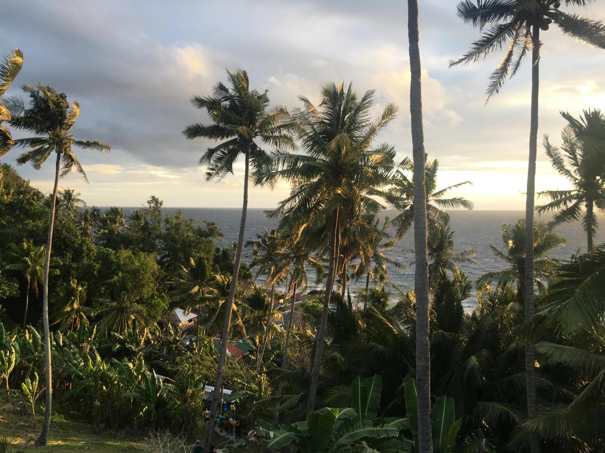 Liberty'S Lodge And Diving - Apo Island 杜马格特 外观 照片