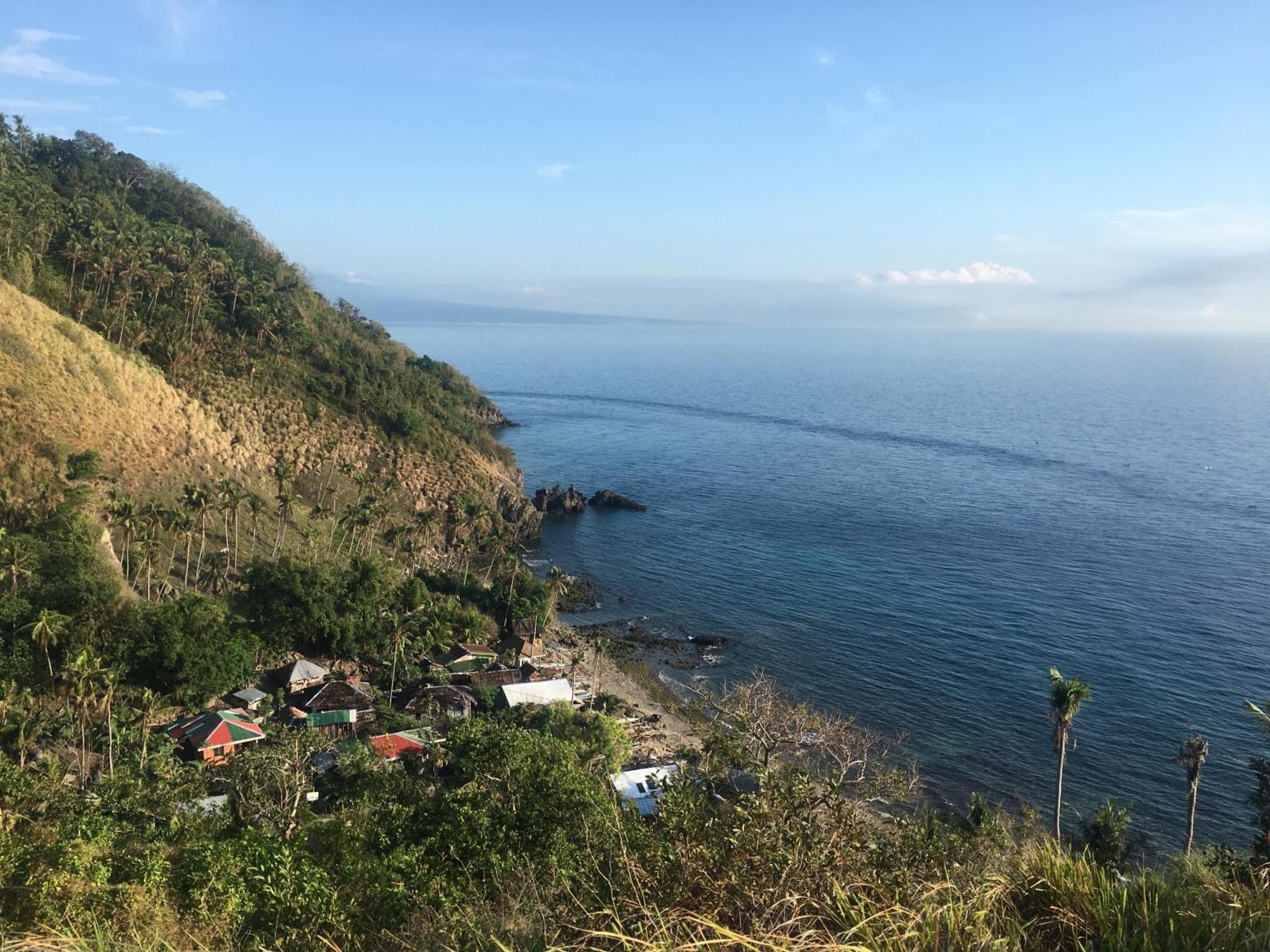 Liberty'S Lodge And Diving - Apo Island 杜马格特 外观 照片