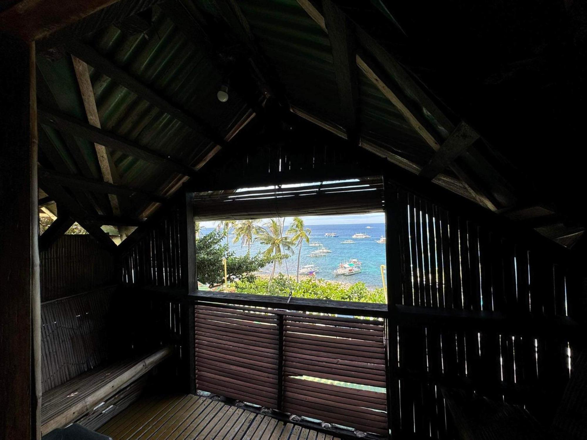 Liberty'S Lodge And Diving - Apo Island 杜马格特 外观 照片