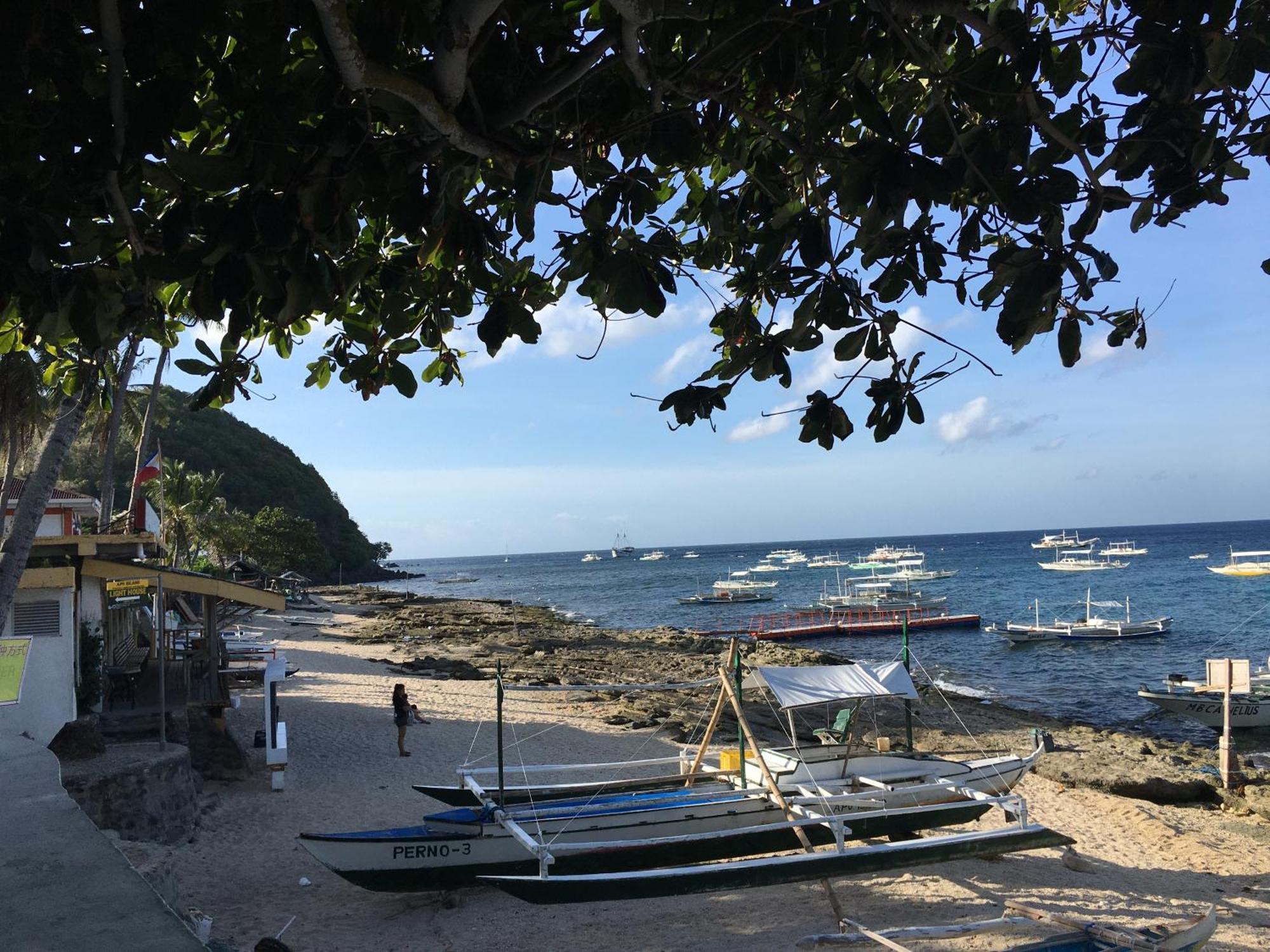 Liberty'S Lodge And Diving - Apo Island 杜马格特 外观 照片