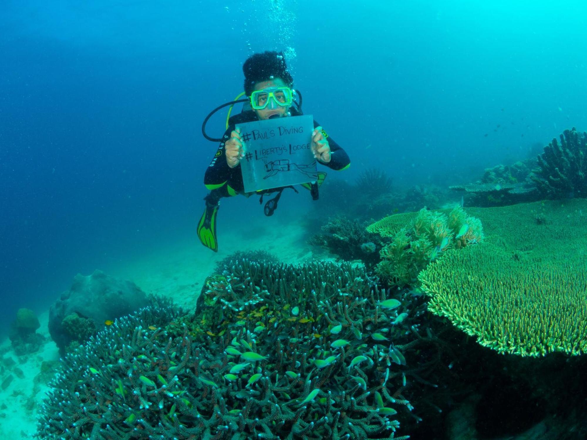 Liberty'S Lodge And Diving - Apo Island 杜马格特 外观 照片