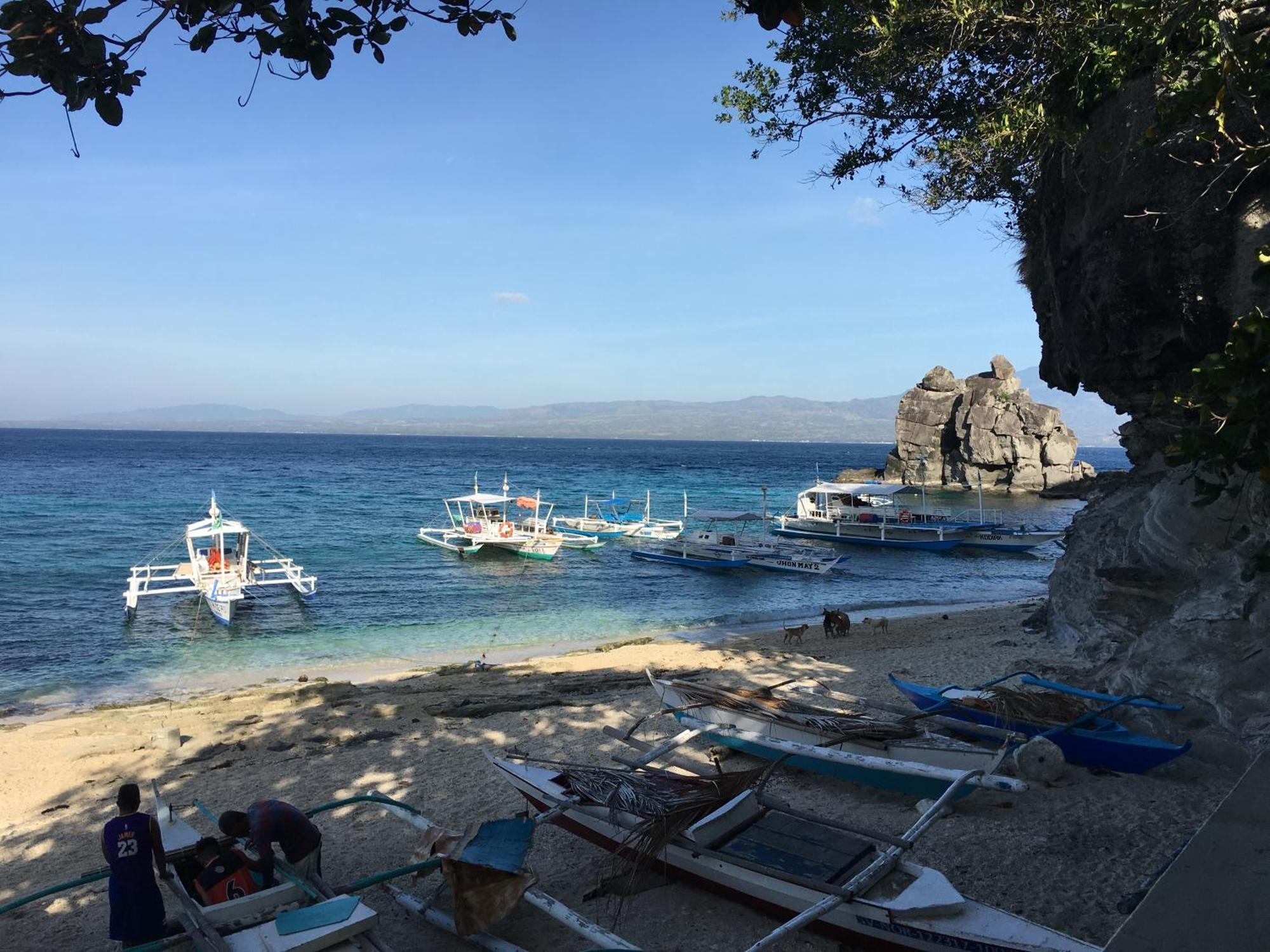 Liberty'S Lodge And Diving - Apo Island 杜马格特 外观 照片