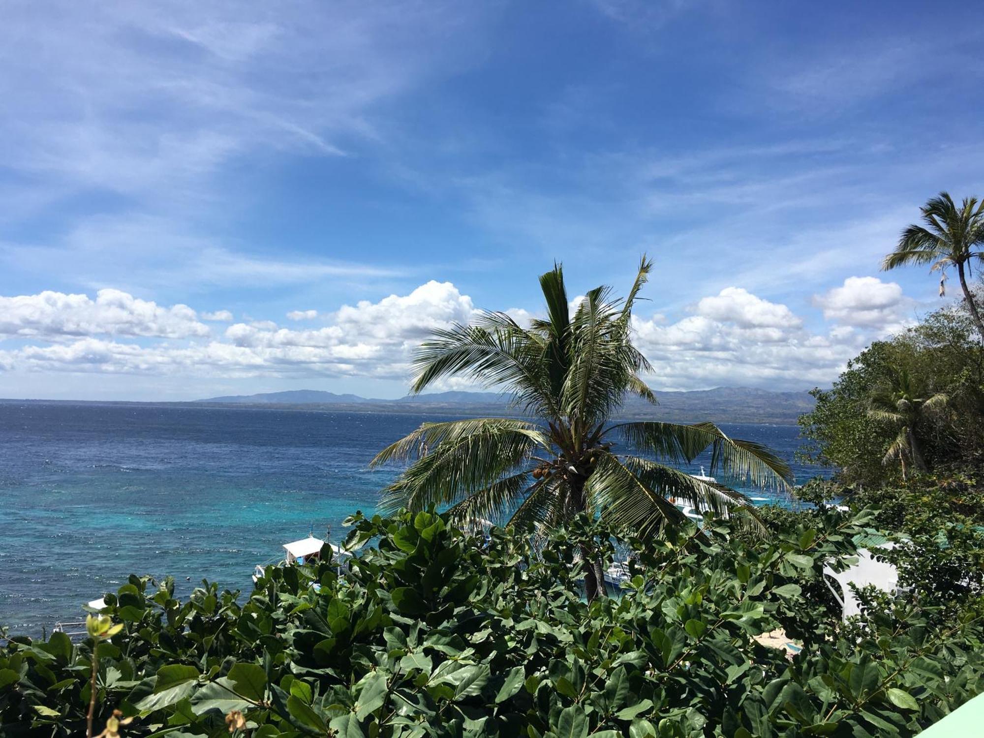 Liberty'S Lodge And Diving - Apo Island 杜马格特 外观 照片